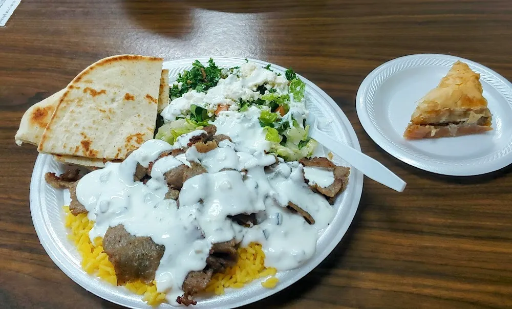 Gyro Plate with Rice